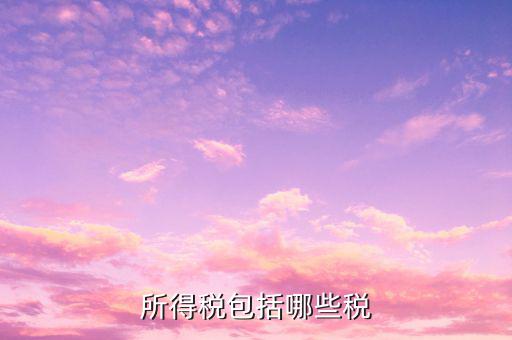 企業(yè)所得稅包含什么，公司所得稅包含有哪兩個(gè)
