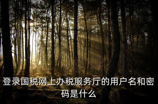 國稅網(wǎng)上登錄密碼是什么意思，國稅第一次網(wǎng)上申報(bào)的登陸密碼是什么