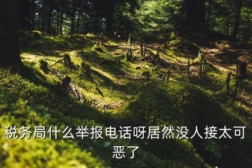 什么叫稅務(wù)舉報，稅務(wù)局什么舉報電話呀居然沒人接太可惡了