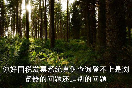 新疆國稅發(fā)票查詢?yōu)槭裁催M不去，為什么國稅官網(wǎng)中電子發(fā)票查詢打不開