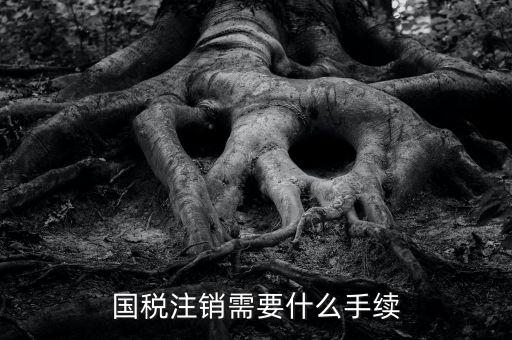 國稅局注銷要什么手續(xù)，國稅注銷需要什么手續(xù)