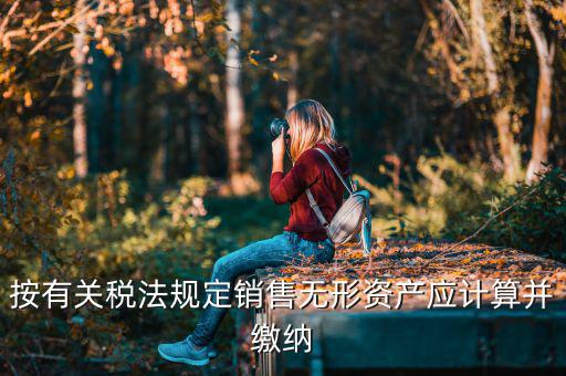 銷售無形資產(chǎn)交什么稅，按有關(guān)稅法規(guī)定銷售無形資產(chǎn)應(yīng)計(jì)算并繳納