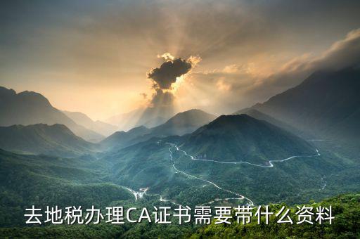 地稅ca帶什么，去地稅簽三方協(xié)議需要以下東西第四個CA是什么意思啊