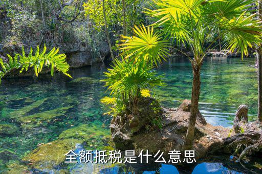 什么叫全額抵p，增值稅的全額抵扣是什么意思