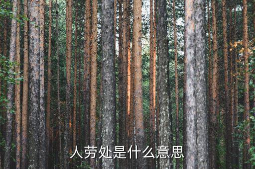勞務(wù)處是什么意思，人勞處是什么意思