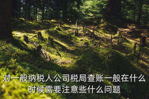 一般地稅稽查會(huì)在什么時(shí)候，稅務(wù)局什么時(shí)候會(huì)查賬不申報(bào)有哪些后果