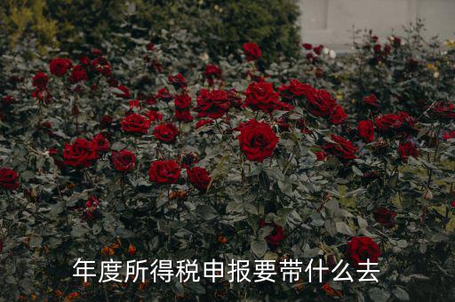 納稅申報應(yīng)帶什么東西，你好 到稅務(wù)局報稅需要帶什么東西怎么報