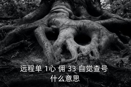 發(fā)查號是什么意思，查號怎么查