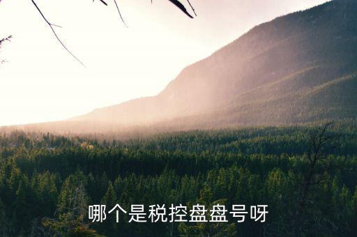 稅控盤號是什么，什么叫稅控盤號