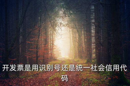 發(fā)票填寫統一社會代碼是什么，開發(fā)票要的稅號是統一社會代碼證號嗎
