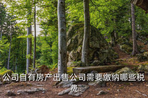 銷售房產(chǎn)公司交什么稅，銷售房產(chǎn)繳納什么稅
