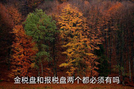 申報盤是什么，保險兼業(yè)代理人資格申報電腦數(shù)據(jù)盤是什么意思