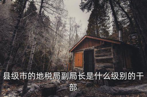地稅局副局什么級別，縣級市的地稅局副局長是什么級別的干部