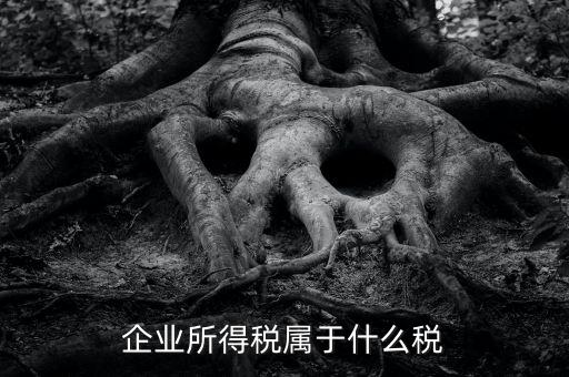 企業(yè)所得稅是什么稅，所得稅包括什么稅