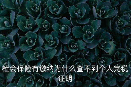 為什么查不到納稅記錄，社會(huì)保險(xiǎn)有繳納為什么查不到個(gè)人完稅證明