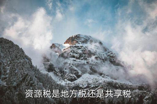 資源稅是什么，資源稅是地稅還是國稅