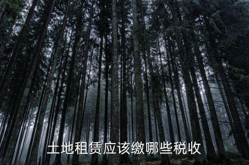 土地租賃需要交什么稅，土地租賃應(yīng)該繳哪些稅收
