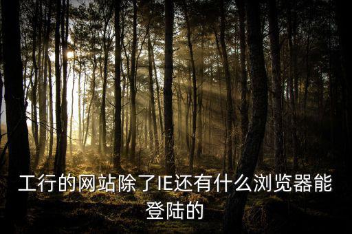 開票登陸的瀏覽器是什么，工行的網(wǎng)站除了IE還有什么瀏覽器能登陸的