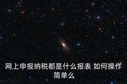 網上申報納稅都是什么報表 如何操作 簡單么