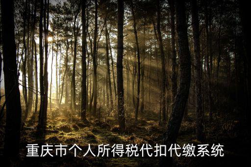 重慶網(wǎng)上繳稅什么網(wǎng)址，重慶市國(guó)稅網(wǎng)網(wǎng)址是多少