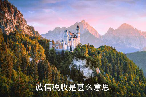 什么是誠信納稅，依法誠信納稅共建小康社會是對的嗎