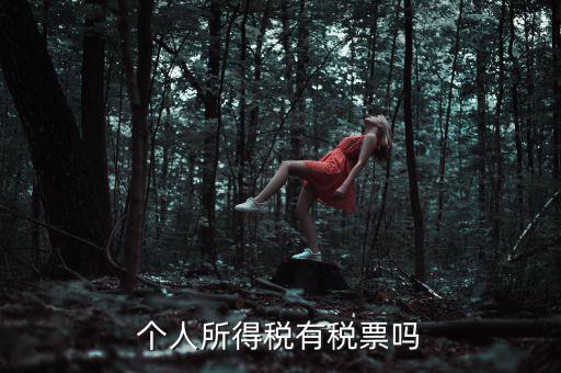個(gè)人所得稅是什么發(fā)票，個(gè)人所得稅有稅票嗎