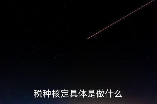 票中核定是什么核定的，哪些情況下要進(jìn)行國稅票種核定