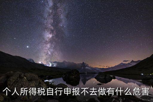 個稅不申報有什么后果，個人所得稅自行申報不去做有什么危害