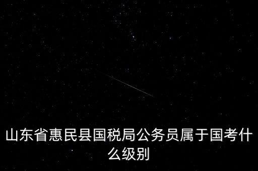 惠民國稅局在什么地方，國稅局在哪里