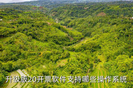 開票軟件適用什么系統(tǒng)，有沒有適合電商用的發(fā)票處理系統(tǒng)