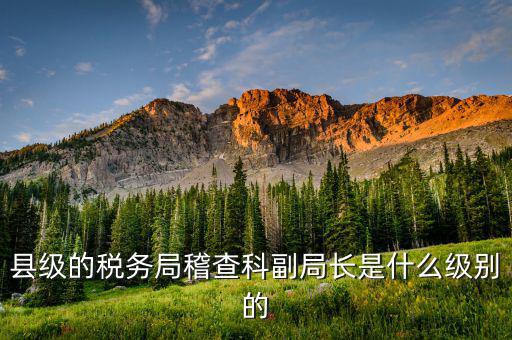 稅務(wù)局稽查科是什么，縣級(jí)的稅務(wù)局稽查科副局長是什么級(jí)別的