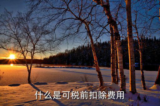 可扣除的稅款是什么，企業(yè)所得稅中可在所得稅前扣除的稅金包括
