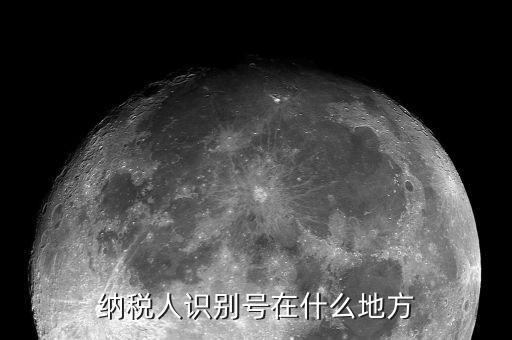 納稅人身份在什么地方查，納稅人識別號在哪查