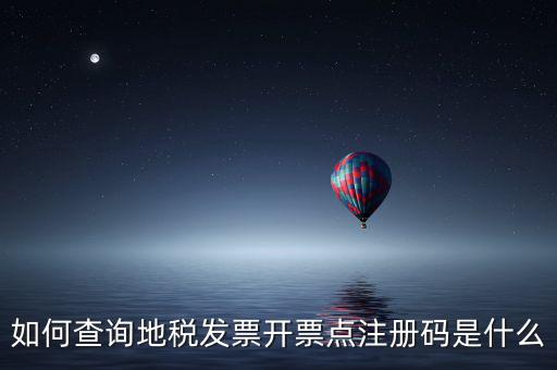 如何查詢地稅發(fā)票開(kāi)票點(diǎn)注冊(cè)碼是什么