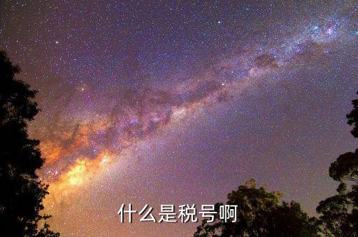 公司稅號是什么，公司的稅號一般有多少位