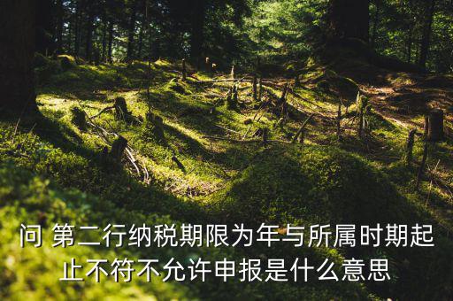 申報屬期不存在年度申報記錄什么意思，地稅當前屬期不存在待申報稅種什么意思