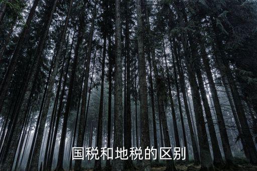 稅務(wù)和地稅什么區(qū)別，國稅和地稅的區(qū)別