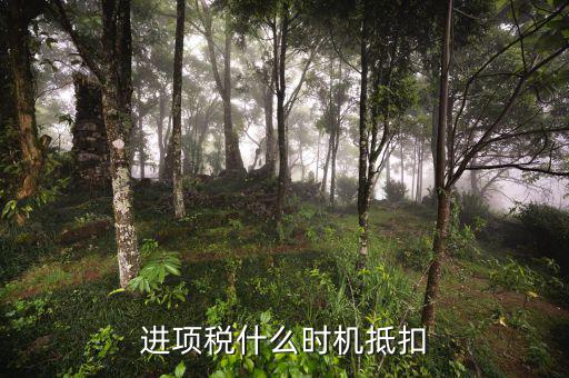 認證的進項稅什么時候抵扣，進項稅什么時機抵扣