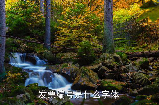 發(fā)票上的號碼是什么字體，發(fā)票編號是什么字體
