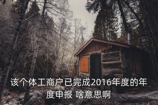 個體戶申報是什么意思，該個體工商戶已完成2016年度的年度申報 啥意思啊
