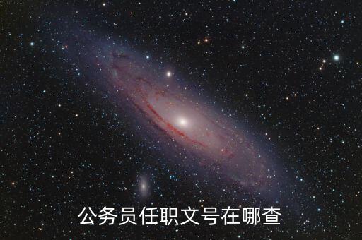 什么地方可以查任職文號，公務(wù)員任職文號在哪查