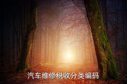 汽車(chē)維修稅收分類(lèi)編碼