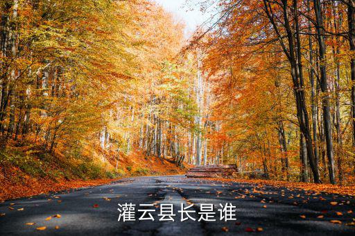 灌云國稅局局長叫什么，國家稅務(wù)局局長叫什么