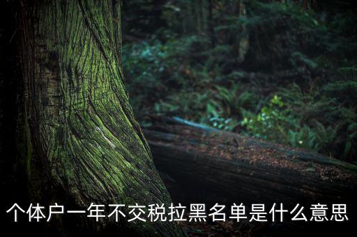 什么是納稅信用黑名單，個體戶一年不交稅拉黑名單是什么意思