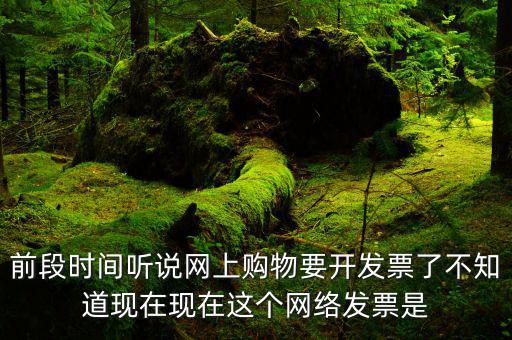 網(wǎng)絡(luò)發(fā)票是什么，在網(wǎng)上買(mǎi)東西電子發(fā)票與普通發(fā)票有區(qū)別嗎
