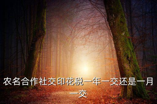 合作社交什么稅，供銷(xiāo)合作社聯(lián)合社交稅嗎