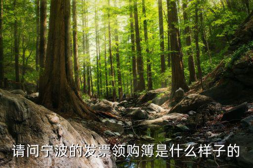 發(fā)票領(lǐng)用簿什么樣子，會計發(fā)票領(lǐng)購沒經(jīng)驗想請問領(lǐng)購的發(fā)票時什么樣的有金額顯示嗎