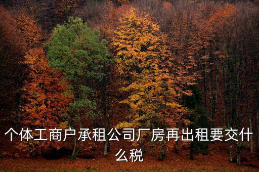 個(gè)體工商戶(hù)承租公司廠(chǎng)房再出租要交什么稅