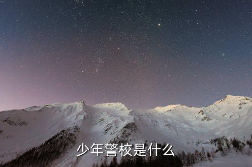 少年稅校是什么，少年警校是什么