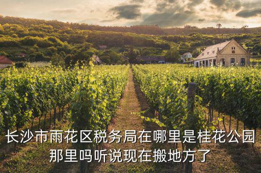 長沙國稅局在什么地方，長沙國稅局在哪